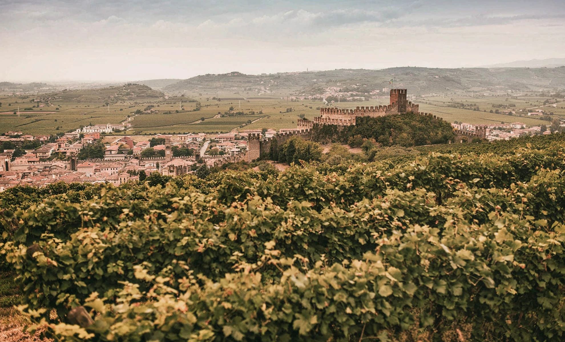 vista panoramica soave